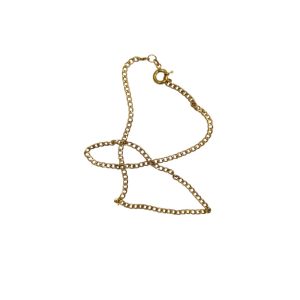 زنجیر کارتیر