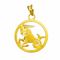 نماد ماه تولد دی